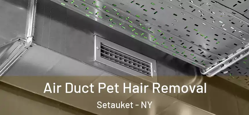 Air Duct Pet Hair Removal Setauket - NY
