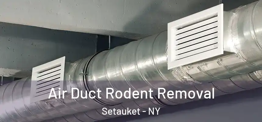  Air Duct Rodent Removal Setauket - NY