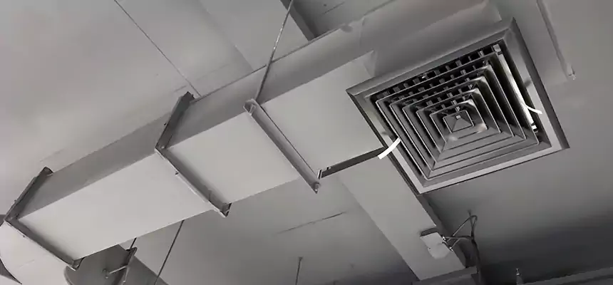 Restorative Allergy Relief Vent Cleaning – Coil, Blower & Housing Detail in Setauket