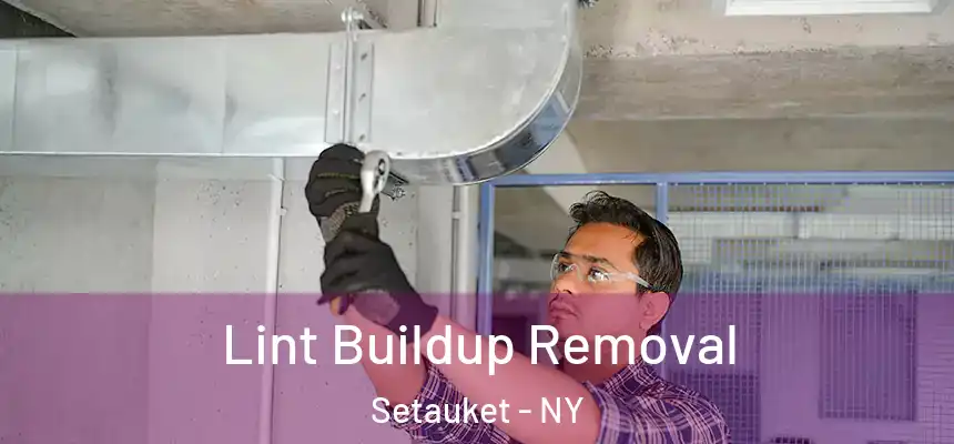  Lint Buildup Removal Setauket - NY