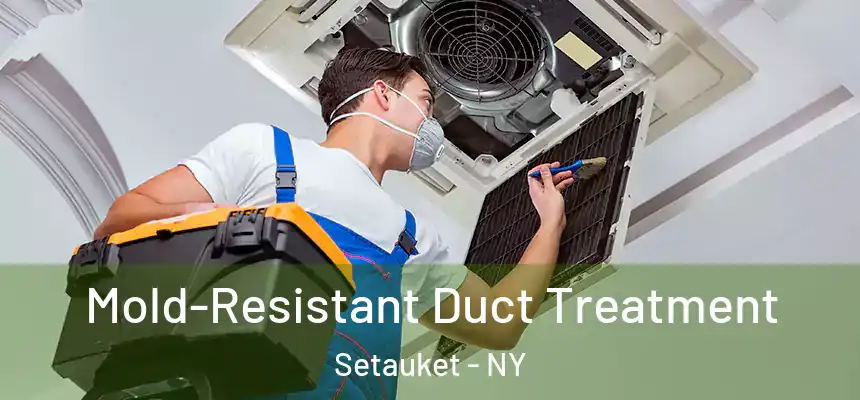  Mold-Resistant Duct Treatment Setauket - NY