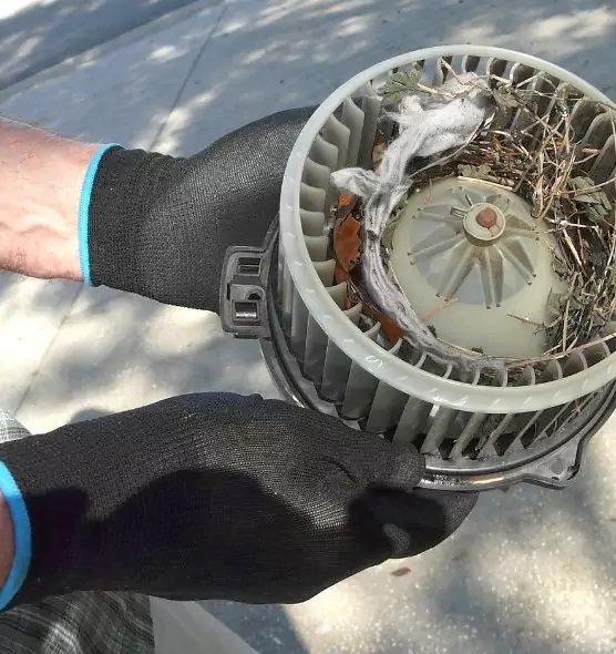 About Air Duct Mice Removal in Setauket, NY