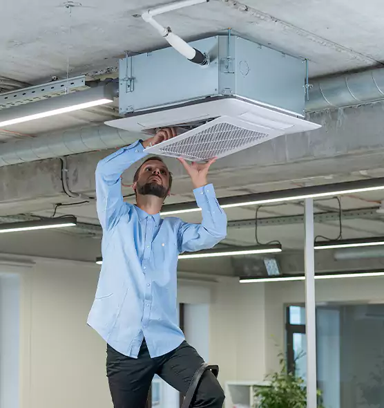 Advanced Rodent Droppings In Vents in Setauket, NY