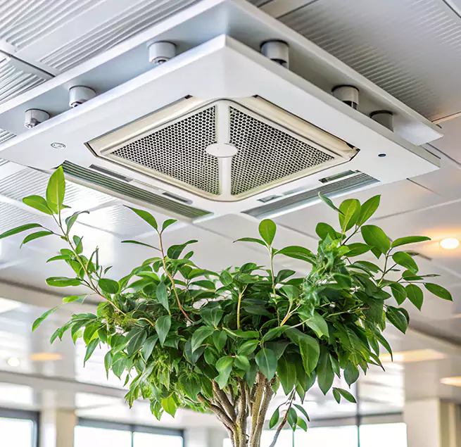 Why Homeowners & Businesses Trust Us in Setauket, NY?