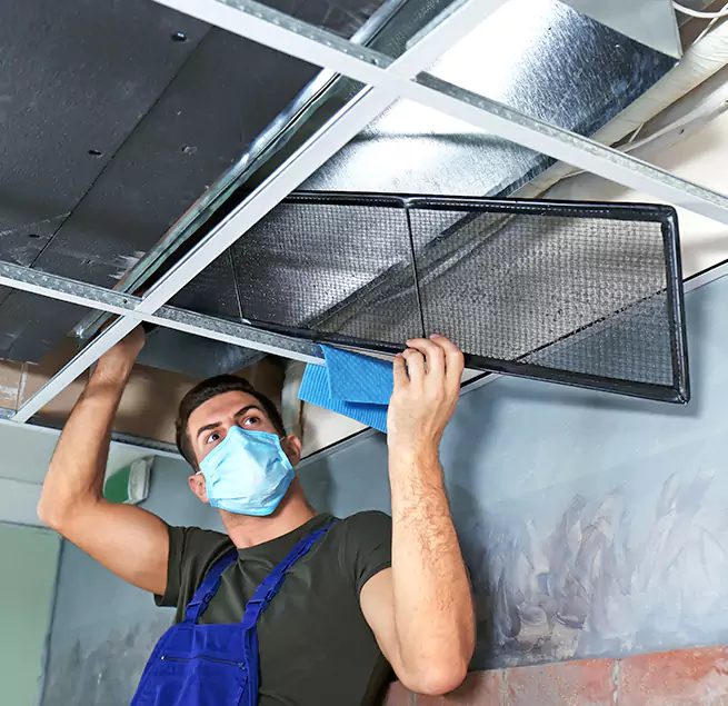 Why Homeowners & Businesses Trust Us in Setauket, NY?